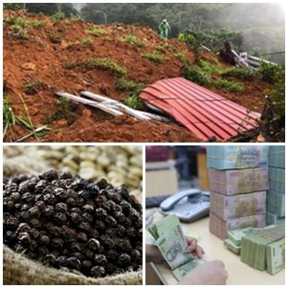 Chỉ đạo, điều hành của Chính phủ, Thủ tướng Chính phủ nổi bật tuần từ 31/7 - 4/8/2023 - Ảnh 1. Chỉ đạo, điều hành của Chính phủ, Thủ tướng Chính phủ nổi bật tuần từ 31/7 - 4/8/2023 - Ảnh 1.