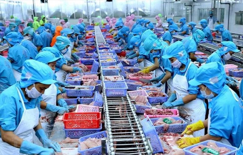 Kiện toàn hệ thống SPS Việt Nam, nâng cao hiệu quả các biện pháp vệ sinh dịch tễ, kiểm dịch động, thực vật- Ảnh 1.