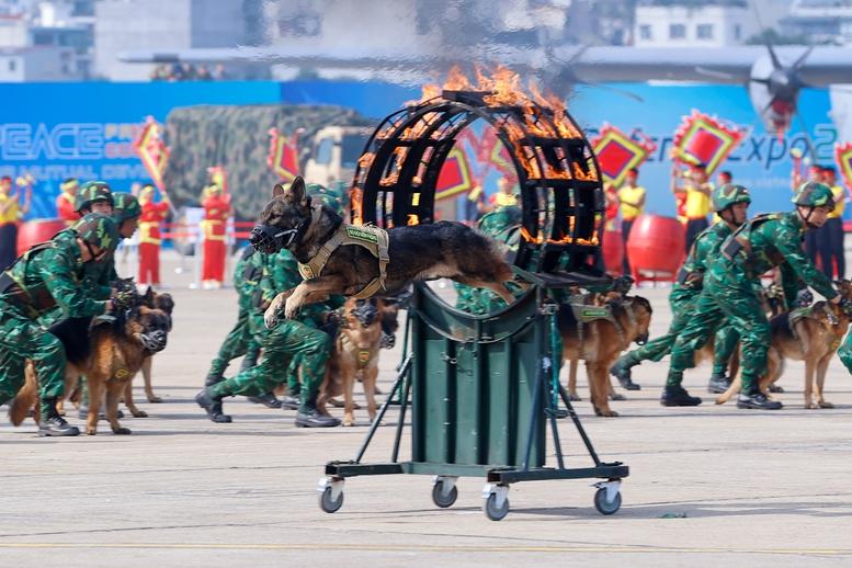 Thủ tướng: Triển lãm Quốc phòng quốc tế Việt Nam có ý nghĩa đặc biệt- Ảnh 7.