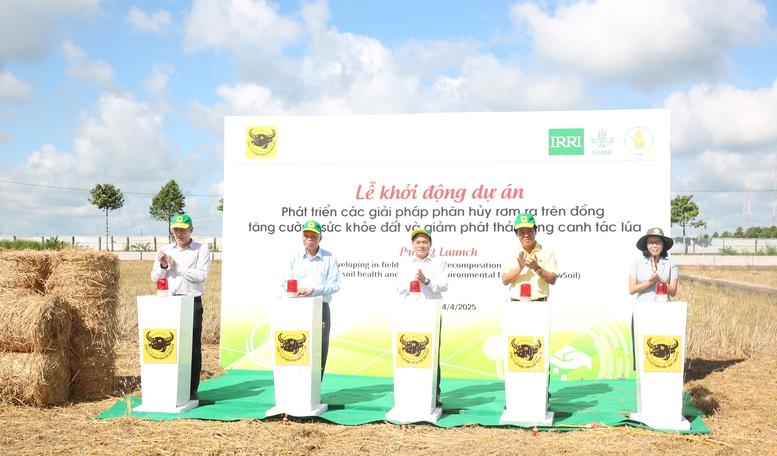 'Gạo Việt Nam xanh phát thải thấp': Bước tiến mới cho ngành lúa gạo- Ảnh 1.