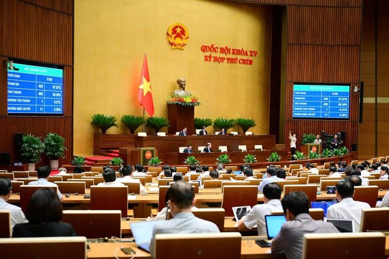 Quốc hội thông qua Luật sửa đổi Luật Chất lượng sản phẩm, hàng hóa- Ảnh 1.