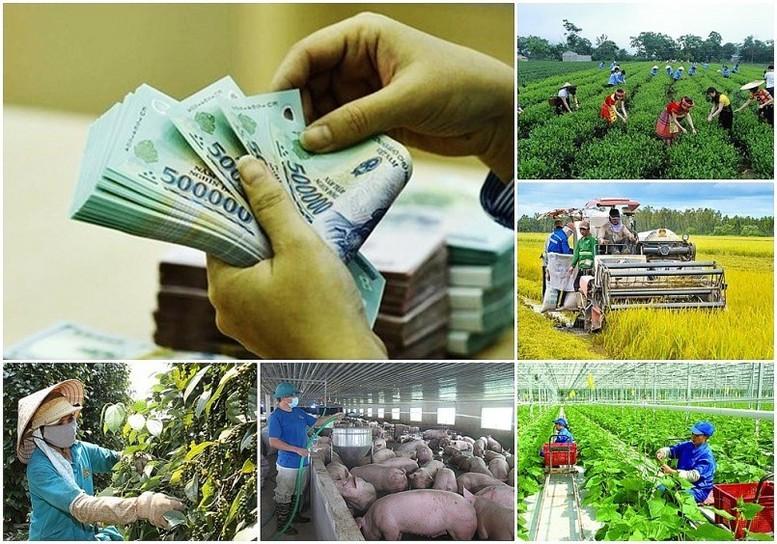 Gỡ vướng cho các chương trình mục tiêu quốc gia khi triển khai mô hình chính quyền địa phương 2 cấp- Ảnh 1.