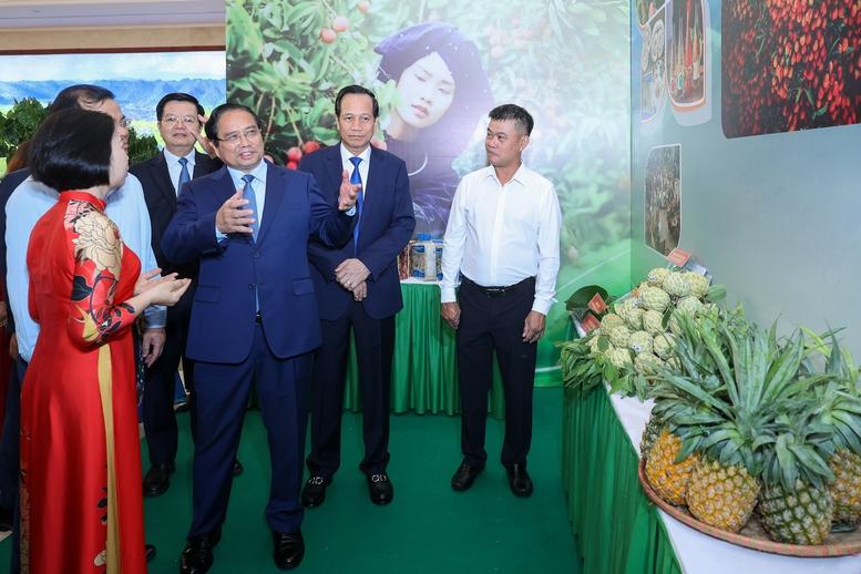 Thủ tướng: Có chính sách ưu tiên, nguồn lực ưu tiên, tín dụng ưu tiên với vùng đồng bào dân tộc thiểu số và miền núi- Ảnh 11.