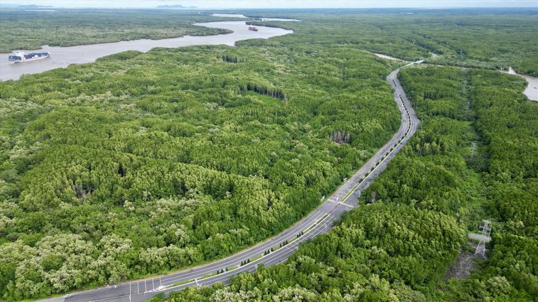 Bổ sung quy định về tạm sử dụng rừng để thi công các dự án cấp thiết- Ảnh 1.