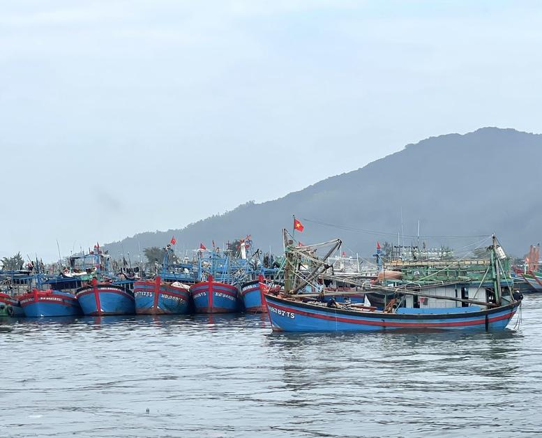 Miền Trung khẩn trương hướng dẫn tàu thuyền tránh trú, ứng phó siêu bão Ragasa- Ảnh 1.