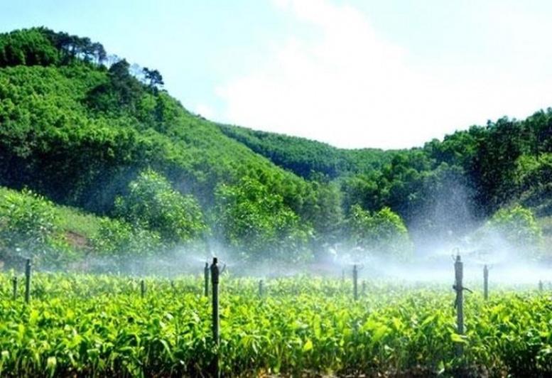Quy định mới về phân bổ vốn cho các địa phương để phát triển kinh tế nông, lâm nghiệp bền vững- Ảnh 1.
