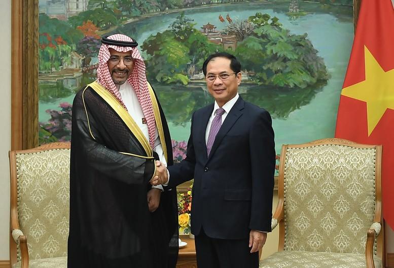 Phó Thủ tướng Bùi Thanh Sơn tiếp Bộ trưởng Công nghiệp và Khoáng sản Saudi Arabia- Ảnh 1.