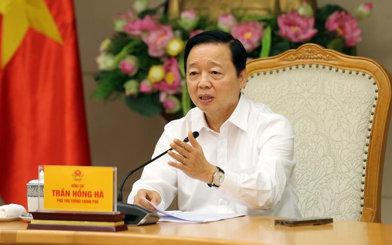 Cơ sở dữ liệu đất đai phải tập trung, thống nhất, "đúng, đủ, sạch, sống"- Ảnh 4. Cơ sở dữ liệu đất đai phải tập trung, thống nhất, "đúng, đủ, sạch, sống"- Ảnh 4.