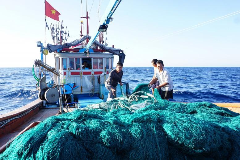 Kế hoạch hành động tháng cao điểm chống khai thác hải sản bất hợp pháp- Ảnh 1.