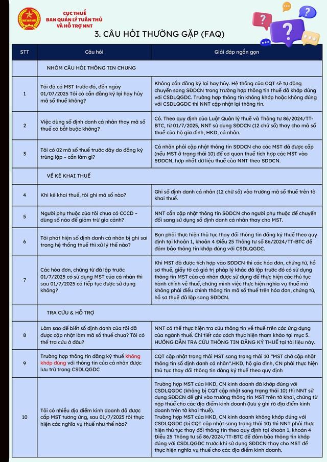 Hỗ trợ sử dụng SỐ ĐỊNH DANH cá nhân thay MÃ SỐ THUẾ- Ảnh 3.
