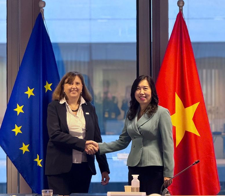 EU tiếp tục kêu gọi các nước thành viên hỗ trợ Việt Nam- Ảnh 1. EU tiếp tục kêu gọi các nước thành viên hỗ trợ Việt Nam- Ảnh 1.