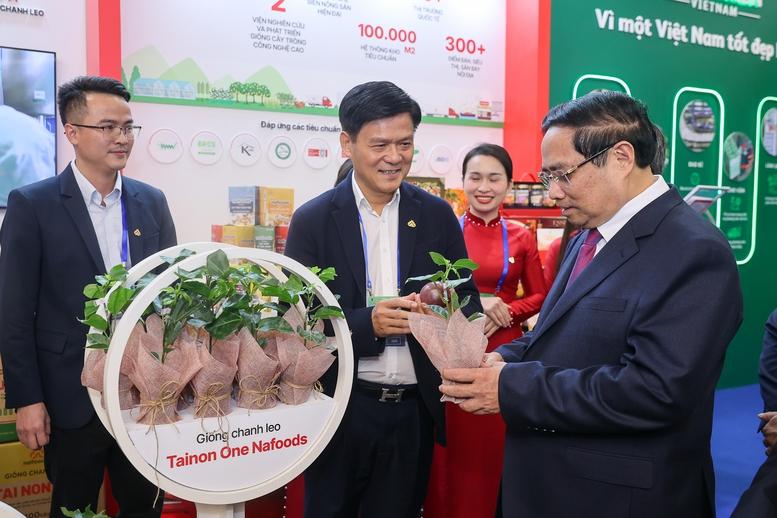 Thủ tướng: Việt Nam xác định ổn định là pháo đài bất khả xâm phạm; phát triển nhanh, bền vững là động cơ vĩnh cửu- Ảnh 2.