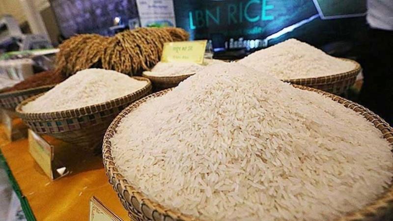 Campuchia có nhiều giống gạo ngon được thị trường quốc tế ưa chuộng. (Ảnh: Khmer Times)