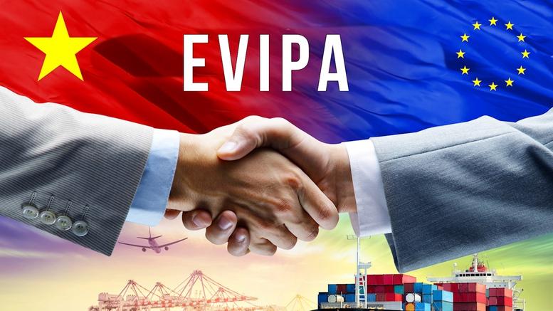 Từ quyết định của Đức: Lá phiếu niềm tin cho Việt Nam- Ảnh 1. Từ quyết định của Đức: Lá phiếu niềm tin cho Việt Nam- Ảnh 1.