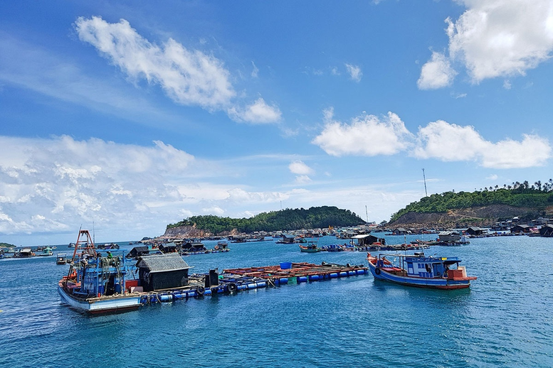 Chỉ đạo, điều hành của Chính phủ, Thủ tướng Chính phủ nổi bật tuần từ 24-30/1/2026- Ảnh 2. Chỉ đạo, điều hành của Chính phủ, Thủ tướng Chính phủ nổi bật tuần từ 24-30/1/2026- Ảnh 2.