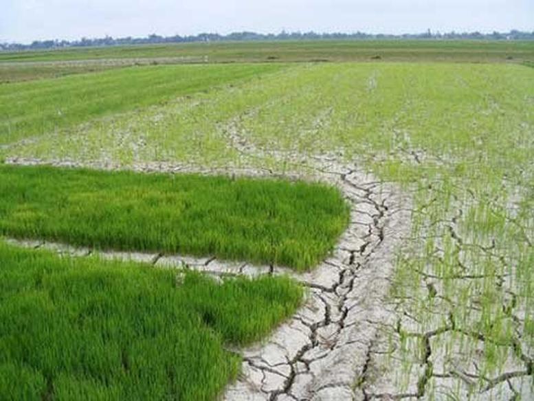 Chỉ đạo, điều hành của Chính phủ, Thủ tướng Chính phủ nổi bật tuần từ 20-27/2/2026- Ảnh 4. Chỉ đạo, điều hành của Chính phủ, Thủ tướng Chính phủ nổi bật tuần từ 20-27/2/2026- Ảnh 4.