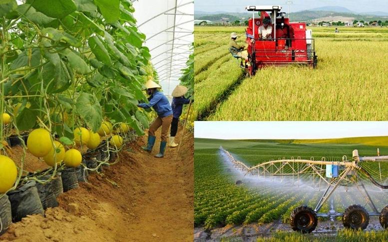 Điều kiện công nhận xã đạt chuẩn nông thôn mới, nông thôn mới hiện đại- Ảnh 1.