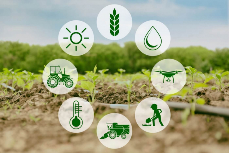 Cắt giảm, đơn giản hóa điều kiện kinh doanh của 11 lĩnh vực nông nghiệp và môi trường- Ảnh 1. Cắt giảm, đơn giản hóa điều kiện kinh doanh của 11 lĩnh vực nông nghiệp và môi trường- Ảnh 1.