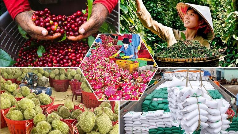 Tiêu chí đánh giá, phân hạng sản phẩm OCOP- Ảnh 1. Tiêu chí đánh giá, phân hạng sản phẩm OCOP- Ảnh 1.