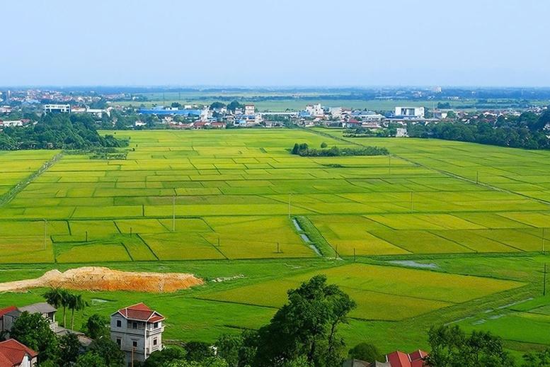Kế hoạch triển khai cơ chế, chính sách đặc thù để xử lý vi phạm pháp luật về đất đai trước năm 2024- Ảnh 1. Kế hoạch triển khai cơ chế, chính sách đặc thù để xử lý vi phạm pháp luật về đất đai trước năm 2024- Ảnh 1.