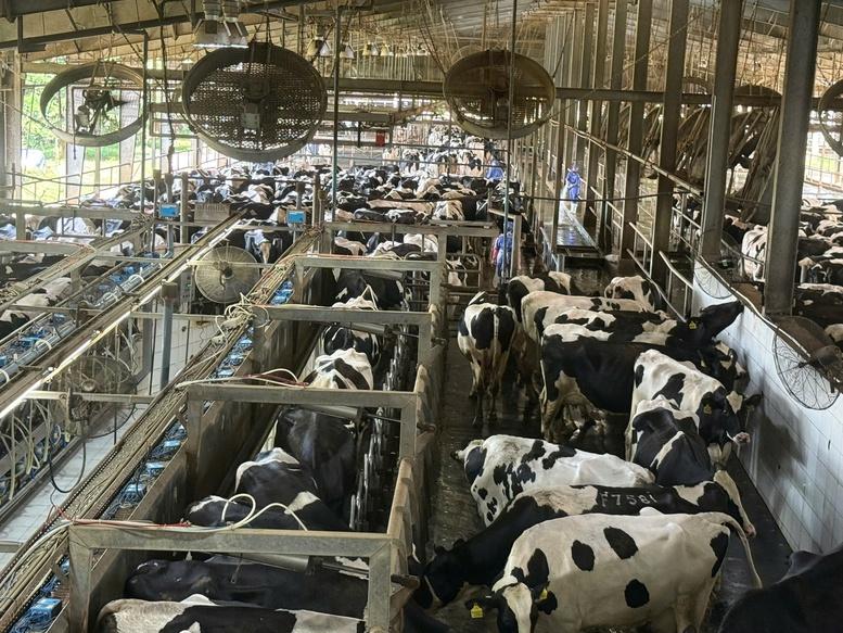 Nông nghiệp nâng giá trị sử dụng đất, hướng tới xuất khẩu 74 tỷ USD- Ảnh 1.