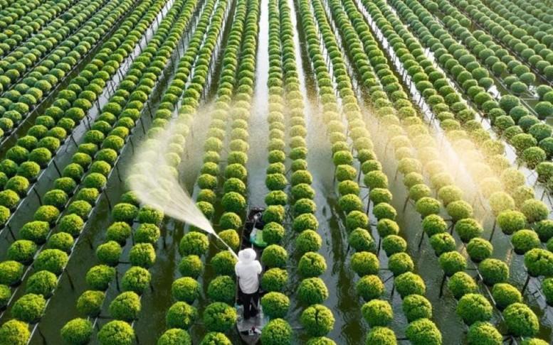 Chỉ đạo, điều hành của Chính phủ, Thủ tướng Chính phủ ngày 22/6/2026- Ảnh 4.