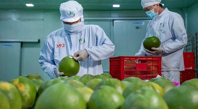 Xuất khẩu nông lâm thủy sản từ 70 đến 100 tỷ USD: Cần những bước đột phá mới- Ảnh 4.