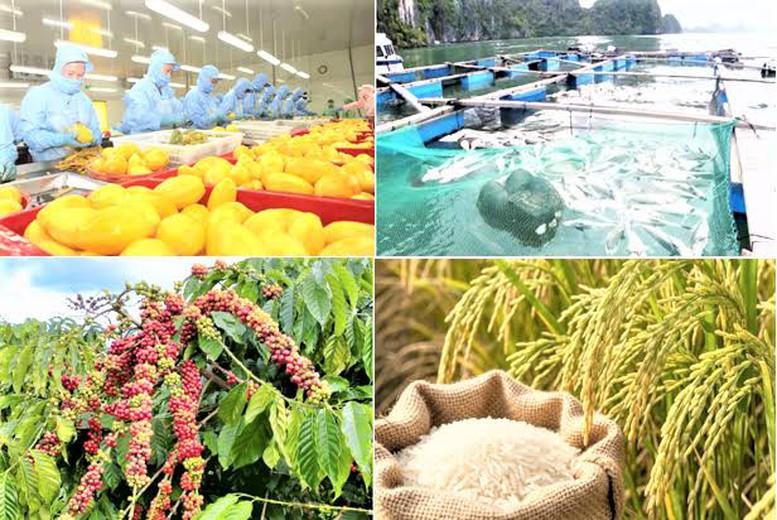 Giảm phát thải: 'Giấy thông hành' cho nông sản xuất khẩu- Ảnh 1.