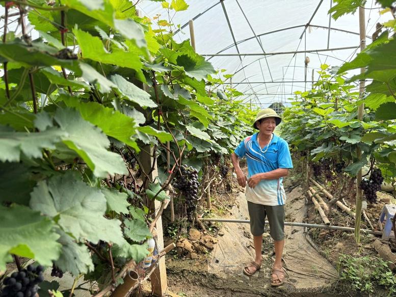Gần 12 triệu ha đất bị thoái hóa: Cần thay đổi cách sử dụng- Ảnh 1.