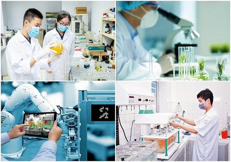 Chỉ đạo, điều hành của Chính phủ, Thủ tướng Chính phủ nổi bật tháng 8/2026- Ảnh 2.