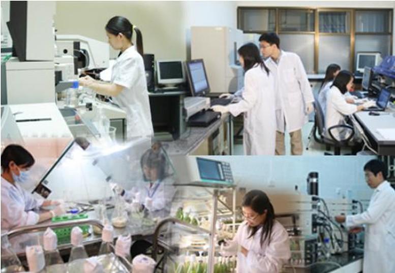 11 nhóm vị trí công tác lĩnh vực khoa học, công nghệ tại chính quyền địa phương phải định kỳ chuyển đổi- Ảnh 1.