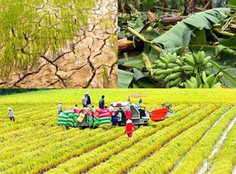 Chỉ đạo, điều hành của Chính phủ, Thủ tướng Chính phủ ngày 9/9/2026- Ảnh 1.