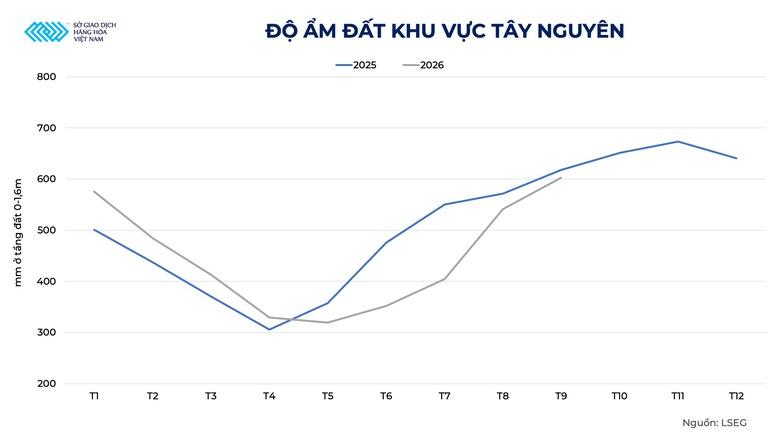 Khoảng lặng trước bước chuyển mình lịch sử của ngành cà phê toàn cầu- Ảnh 3.