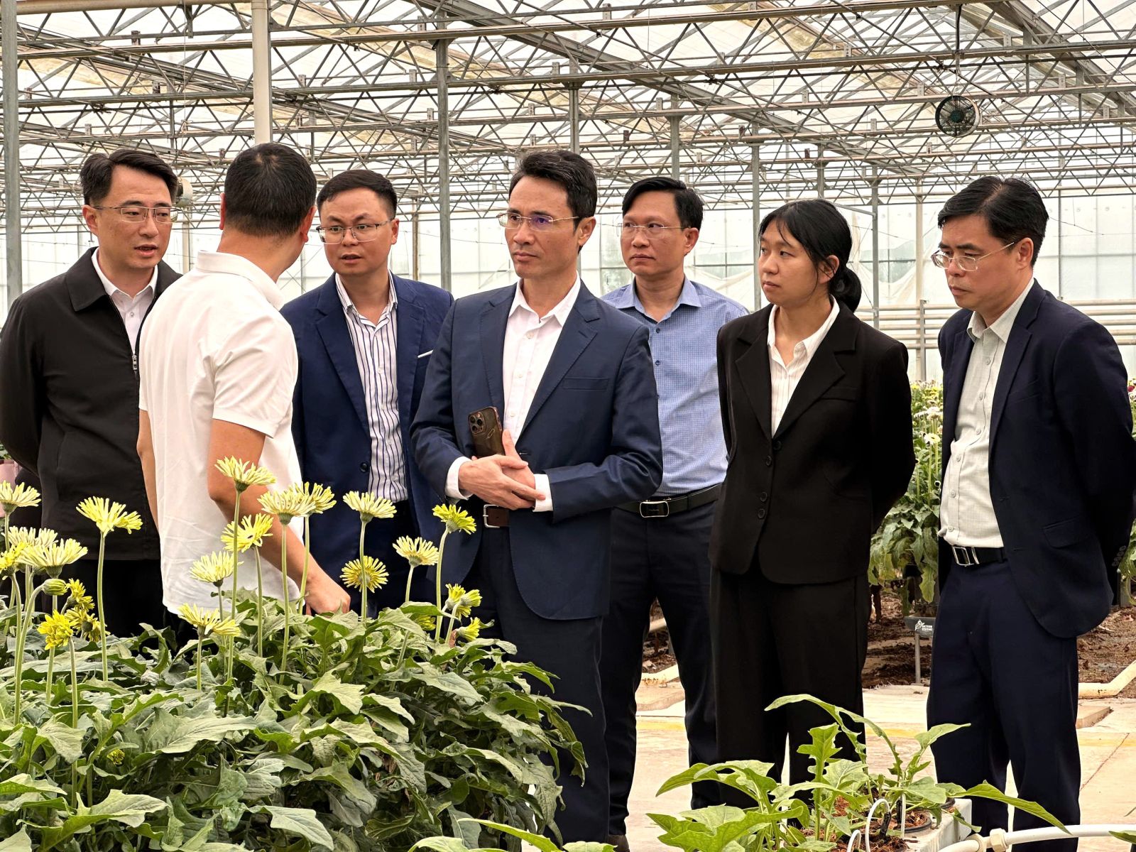Phó Chủ tịch UBND tỉnh Hà Trọng Hải và Đoàn công tác tỉnh Lai Châu khảo sát các mô hình sản xuất nông nghiệp tại châu Hồng Hà, tỉnh Vân Nam (Trung Quốc)